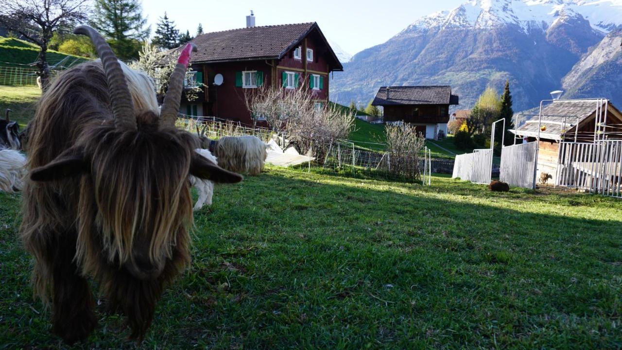 Pensjonat Cash Cow Unterbäch Zewnętrze zdjęcie